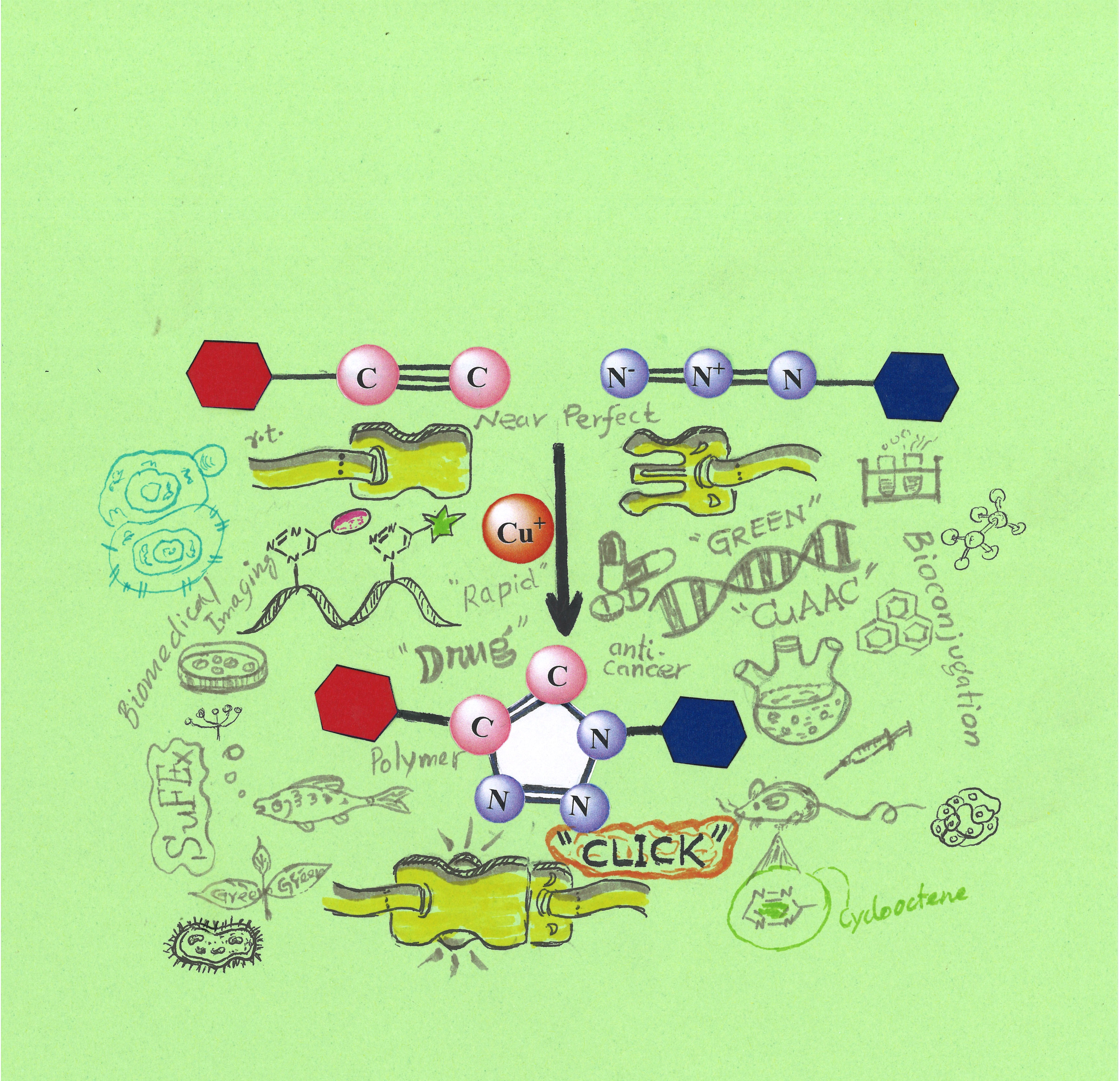 A Brief Introduction to Click Chemistry and Bioorthogonal